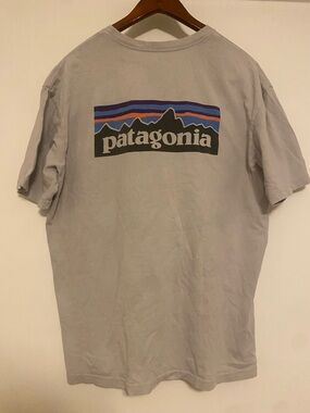 Patagonia Short-Sleeve Logo Tee in Light Gray with Multicolor Print